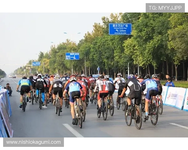 皇冠新体育平台，掌握最新体育赛事动态与精彩分析