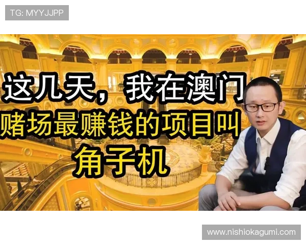 深入探讨角子啥意思以及角子机在娱乐和赌博中的角色变化