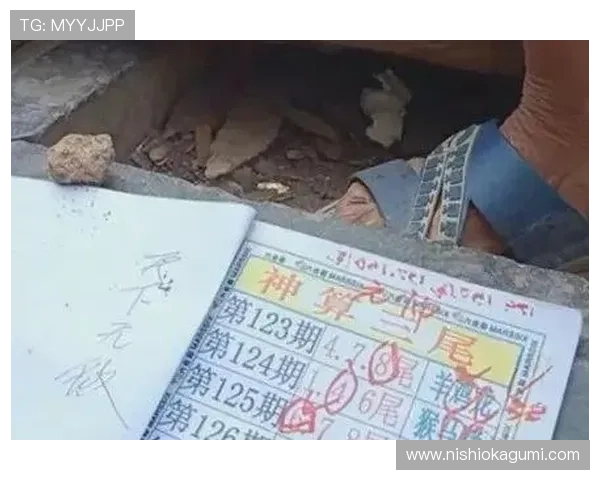 六合彩在线官网免费试玩体验，帮助新手快速掌握投注技巧提升中奖率