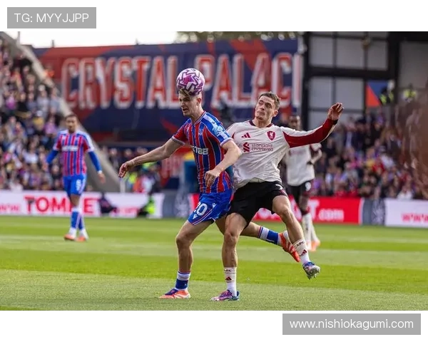 水晶宫队官网提供的比赛录像、精彩集锦及赛后分析视频资源 水晶宫队官网提供的比赛录像、精彩集锦及赛后分析视频资源