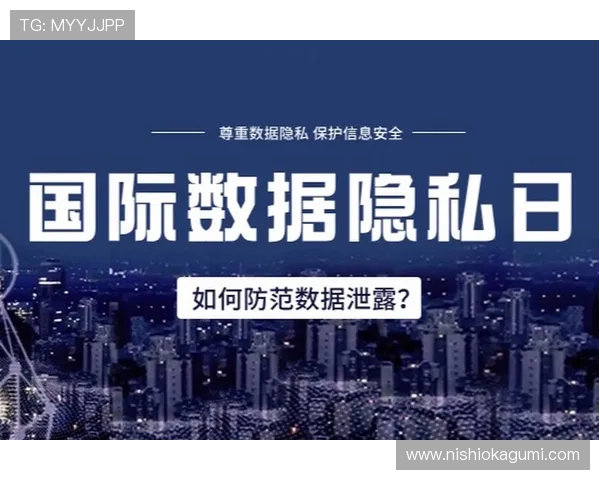 皇家在线官网安全保障措施与玩家隐私保护政策全面解读
